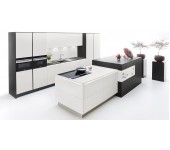 FENIX 4901 